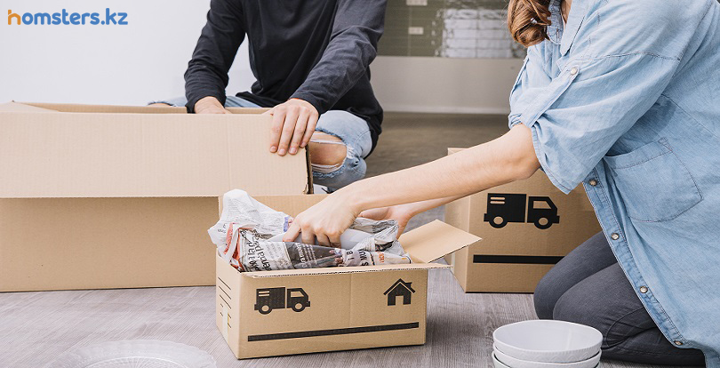 Қозғалысты қалай ұйымдастыруға болады