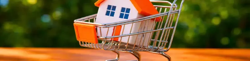 Как не переплатить при покупке квартиры с помощью Homsters