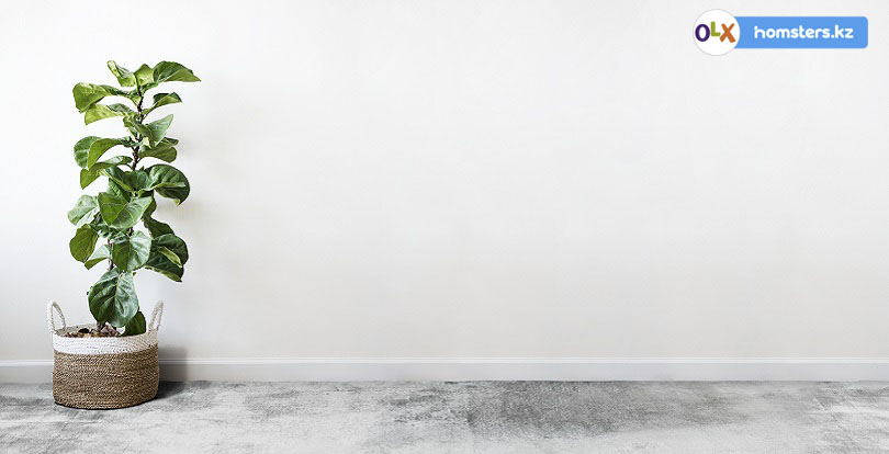 Сделай сам: 5 ЖК Нур-Султана (Астаны) со свободной планировкой