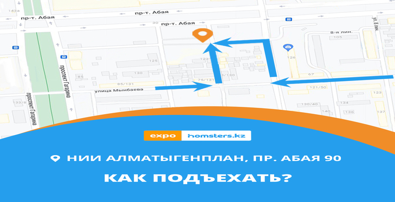 #EXPOHOMSTERS2022 уже в эти выходные — планируйте маршрут заранее